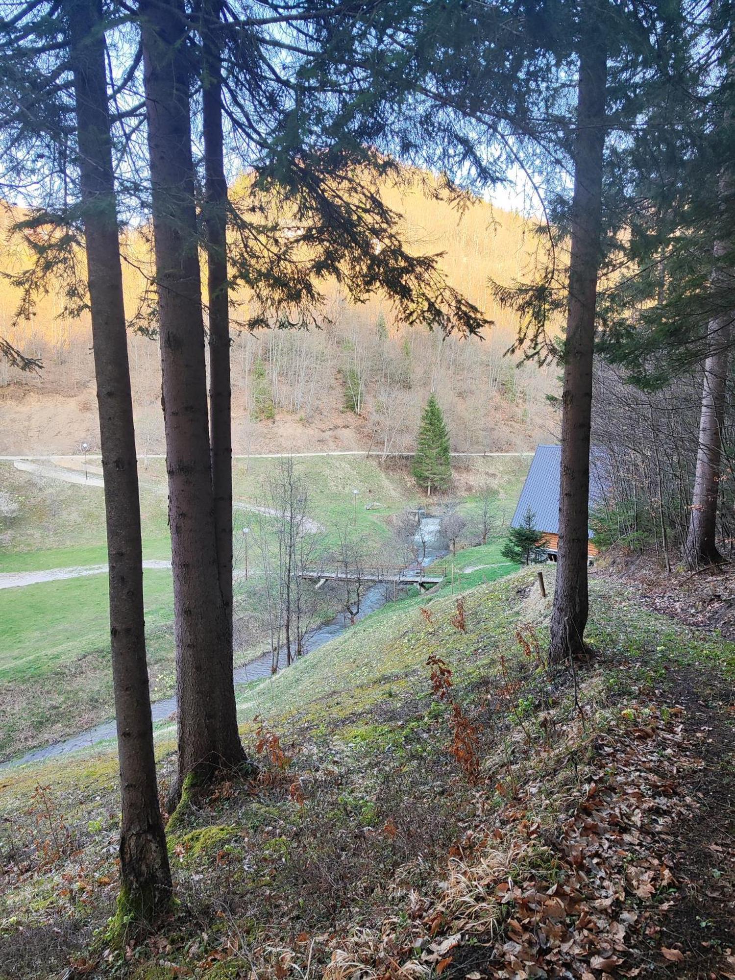 Nova VarošZlatarska Dolina住宿加早餐旅馆 外观 照片